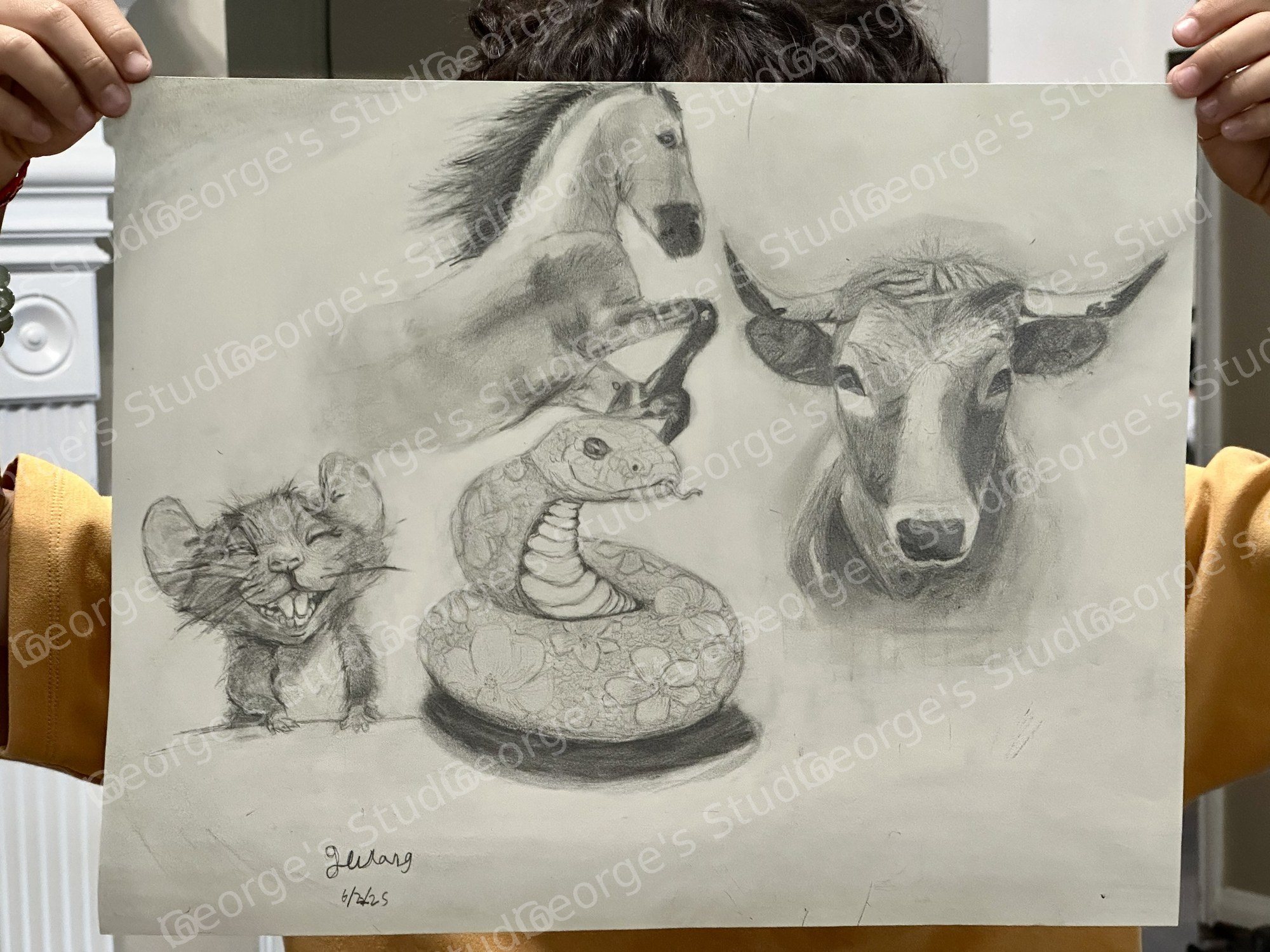 Chinese Zodiac - draft