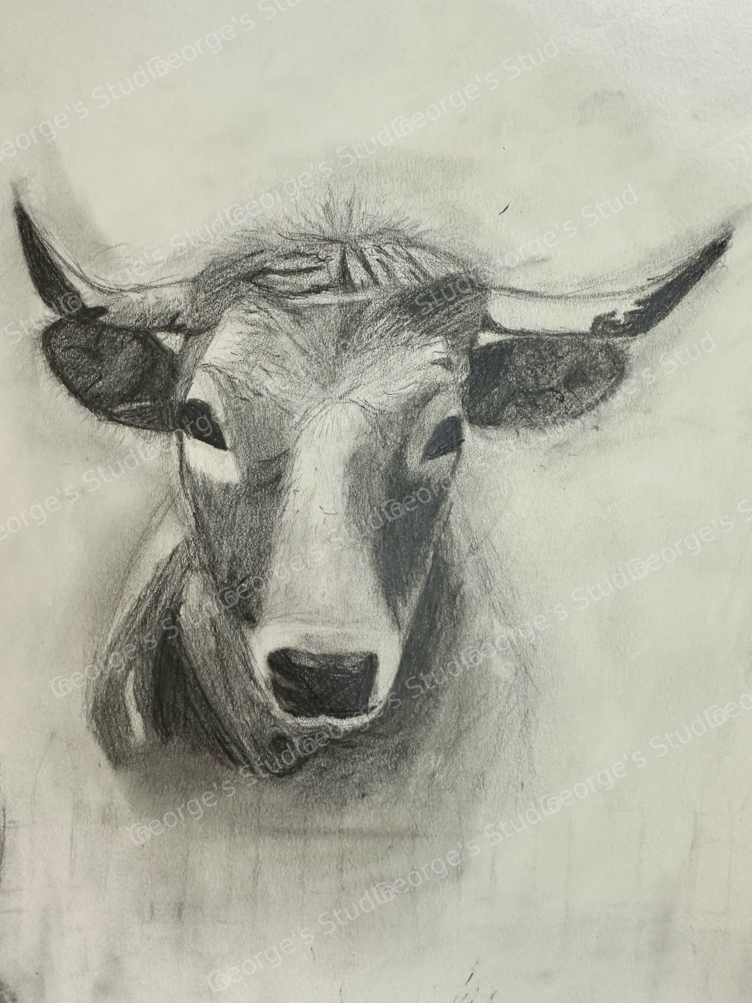 Chinese Zodiac - Cow